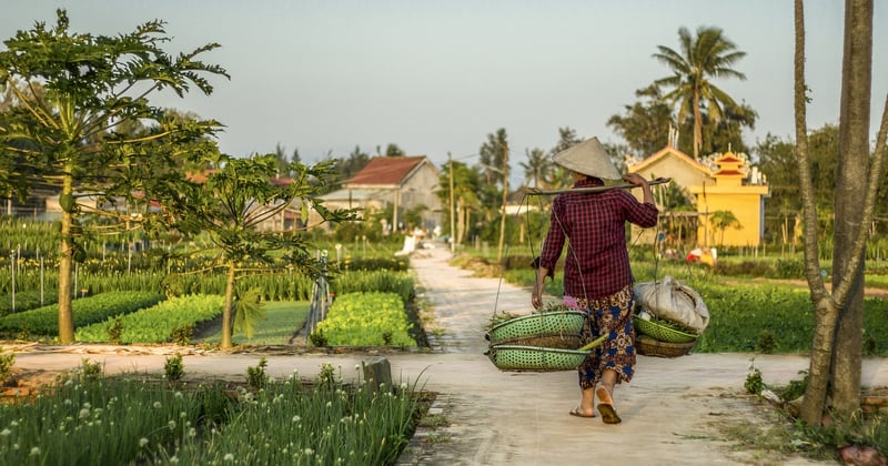 10 spécialités culinaires à goûter absolument lors d'un voyage en Asie