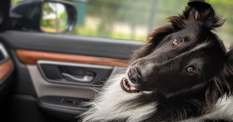 Partir seul en road trip : conseils pratiques pour se lancer sereinement